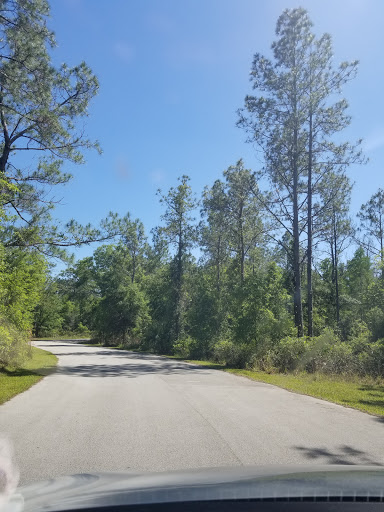 Nature Preserve «Gator Creek Reserve», reviews and photos, 9725 US Hwy 98 N, Lakeland, FL 33809, USA