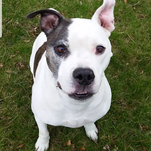 Tattoo Shop «Bay City Tattoo Company», reviews and photos, 759 E 12th St, Erie, PA 16503, USA