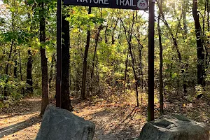 Skull Hollow Nature Trail image