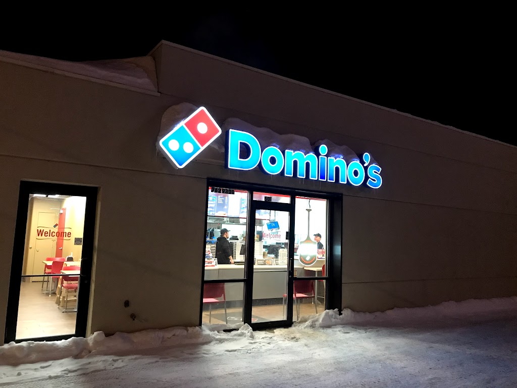 Domino's Pizza 59501