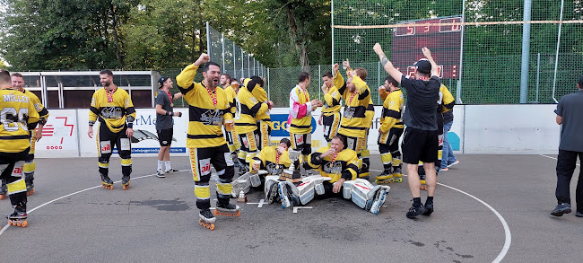 IHC Zofingen Black Panthers Inlinehockeyarena