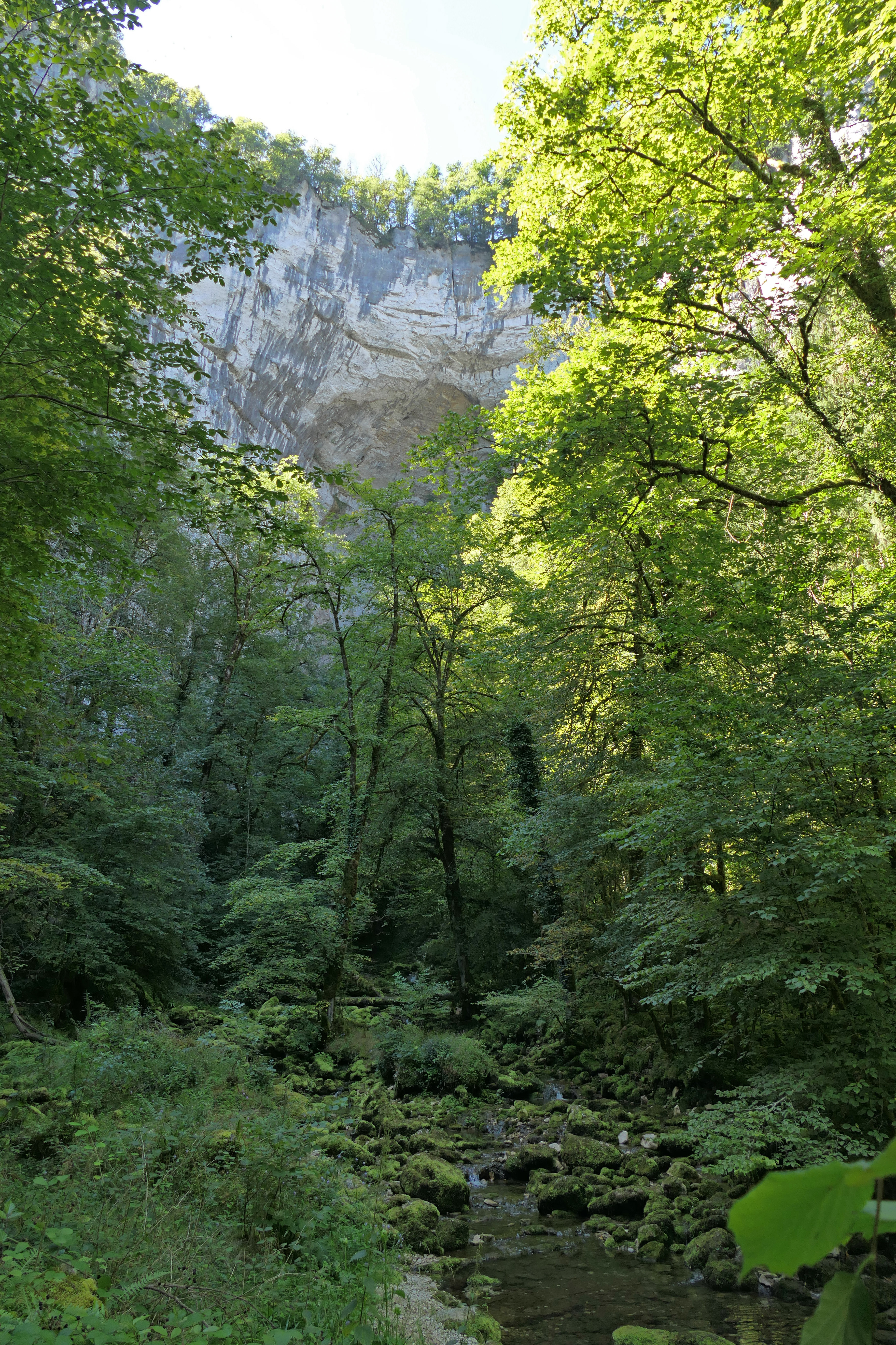 Photo n° 2 de l'avis de Hubert.o fait le 15/08/2023 à 16:36