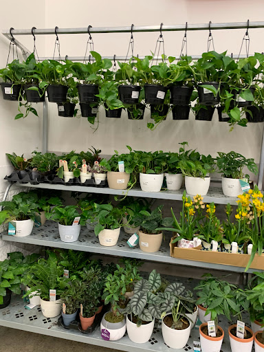 Department Store «Walmart Supercenter», reviews and photos, 150 Western Ave NW, Faribault, MN 55021, USA