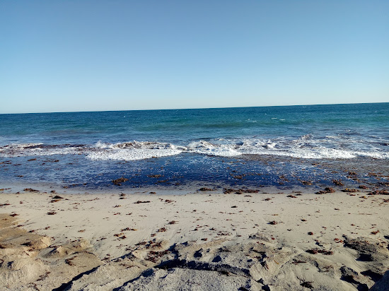 African Reef Beach