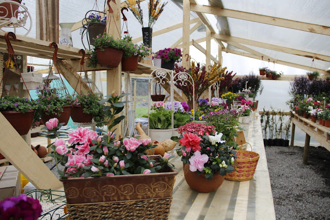 Vivero Sartori - Centro de jardinería