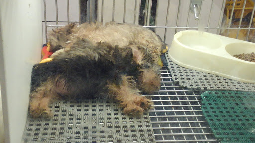 Pet Store «Pets Plus Inc», reviews and photos, 2610 Jefferson Davis Hwy, Stafford, VA 22554, USA