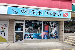 Wilson Diving image