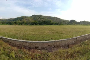 Lapangan Desa Selomarto image