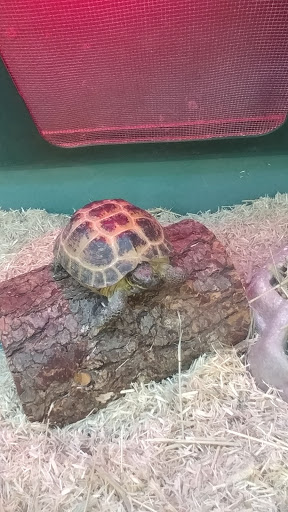 Pet Supply Store «Pet Supplies Plus», reviews and photos, 5315 Airport Hwy, Toledo, OH 43615, USA