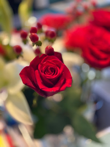 Movie Theater «Park Plaza Cinema», reviews and photos, 33 Office Park Rd #201, Hilton Head Island, SC 29928, USA