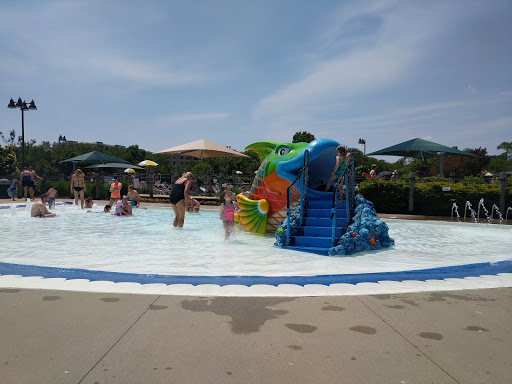 Water Park «Sea Lion Aquatic Park», reviews and photos, 1825 Short St, Lisle, IL 60532, USA