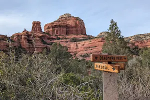 Coconino National Forest image