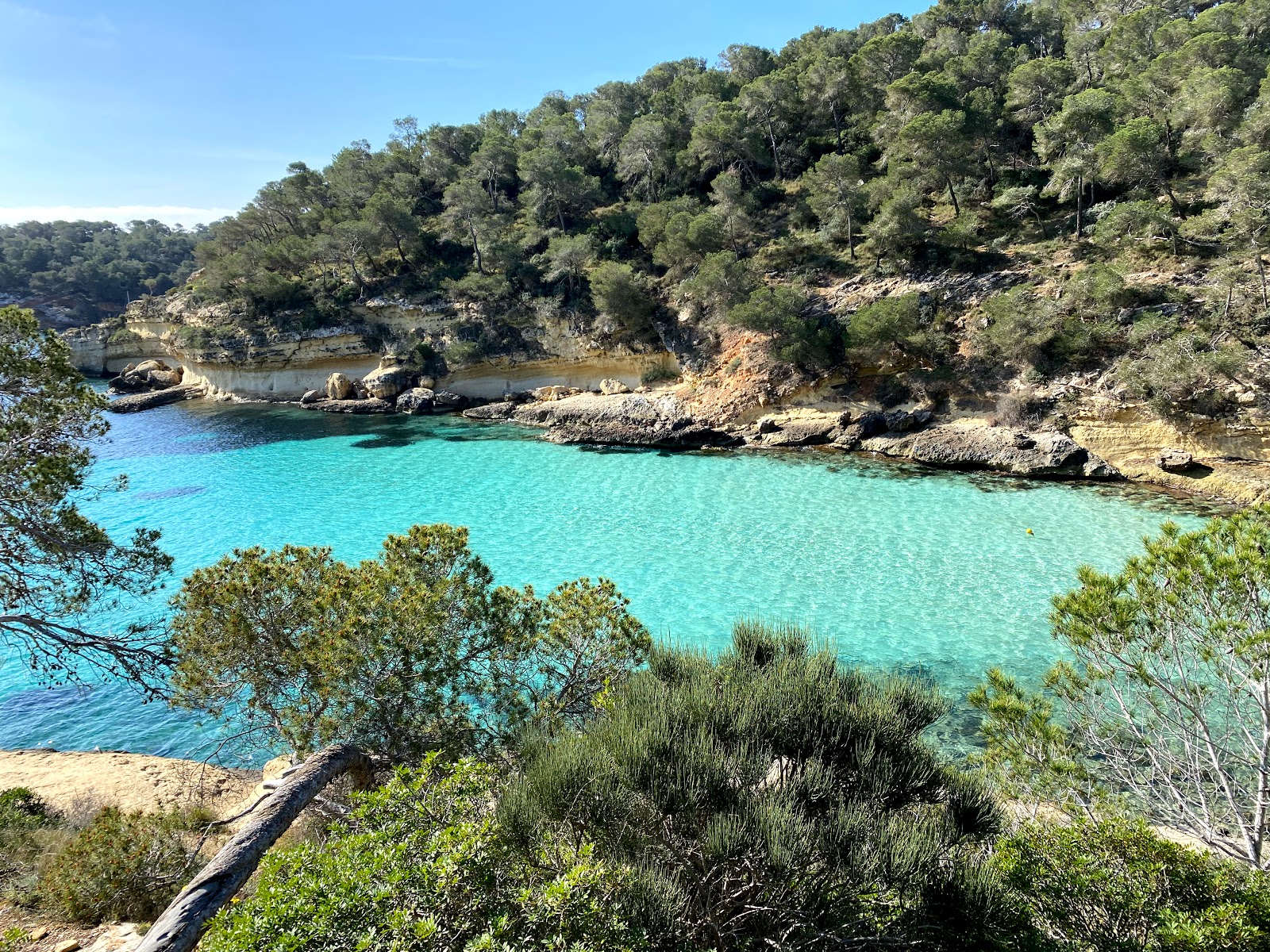 Foto de Caló dels Reis con micro cala