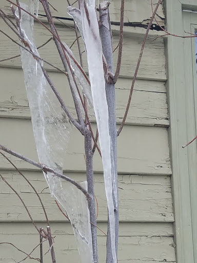 Toy Store «Peak-A-Boo Toys LLC», reviews and photos, 117 S Main St, Breckenridge, CO 80424, USA