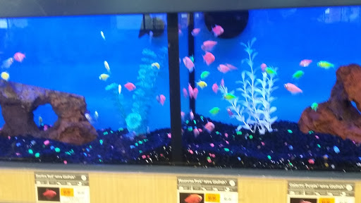 Pet Supply Store «Petco Animal Supplies», reviews and photos, 1215-1309 NJ-33 #1, Hamilton Township, NJ 08690, USA