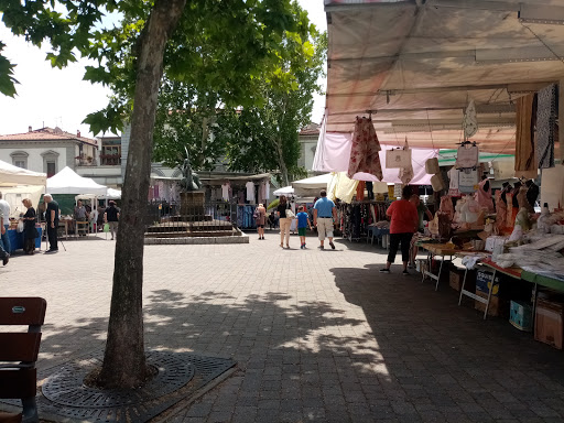 Mercato di Piazza Dalmazia
