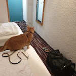 Photo n°1 de l'avis de Migle.i fait le 09/09/2019 à 18:43 sur le  Plaza Inn Ludwigsfelde Berlin Süd à Ludwigsfelde