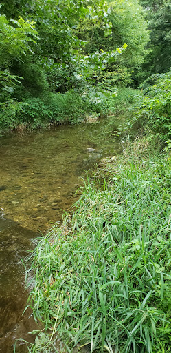 Nature Preserve «Sadsbury Woods Preserve», reviews and photos, Ramblewood Dr & Northwood Dr, Coatesville, PA 19320, USA