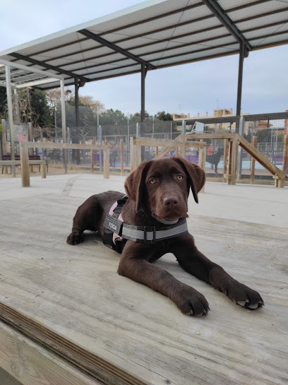 PARQUE DE PERROS ALFAFAR