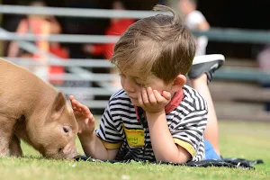 Pennywell Farm image