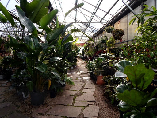 Plant Nursery «Sturtz & Copeland Florist & Greenhouses», reviews and photos, 2851 Valmont Rd, Boulder, CO 80301, USA