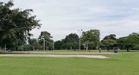 Campo de vóleibol