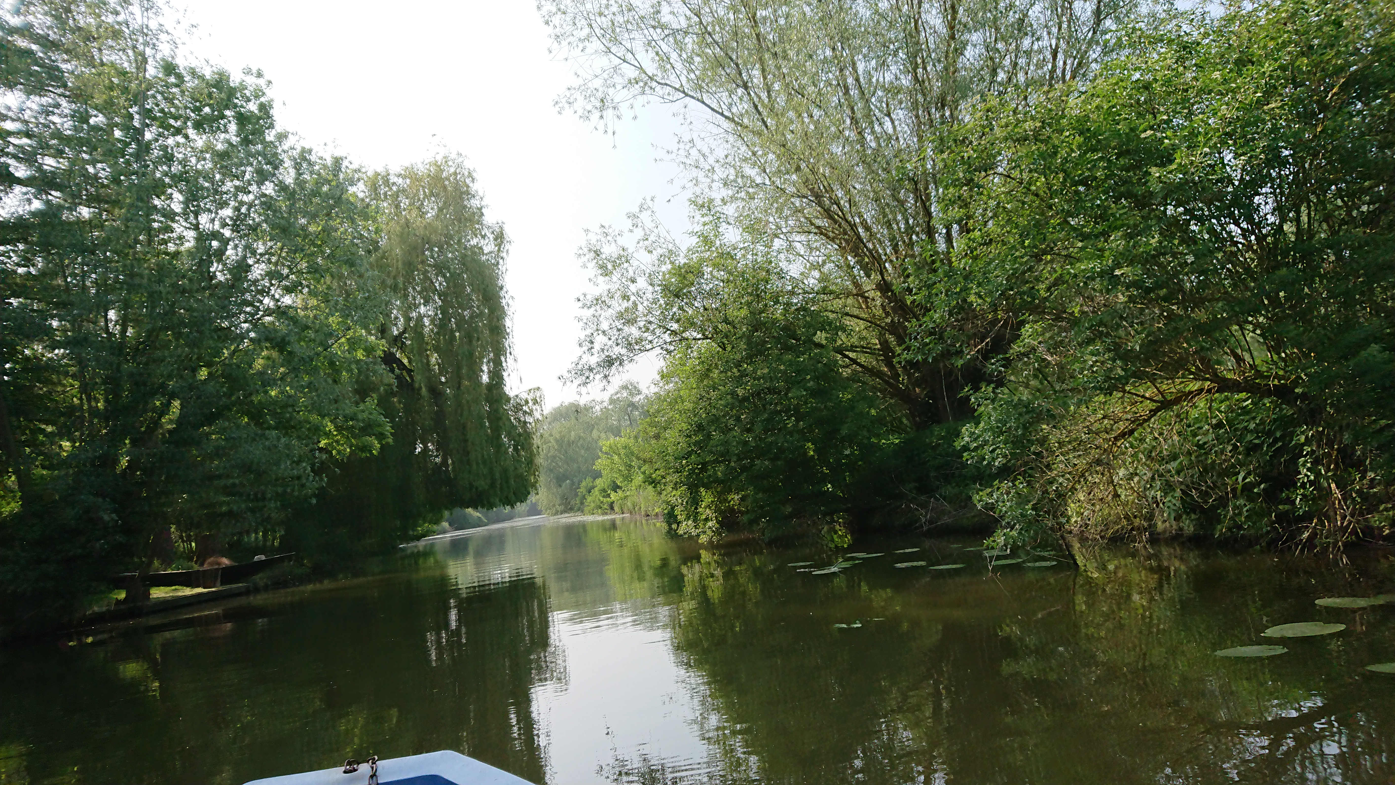 Photo n° 21 de l'avis de Perso.e fait le 20/05/2018 à 16:43