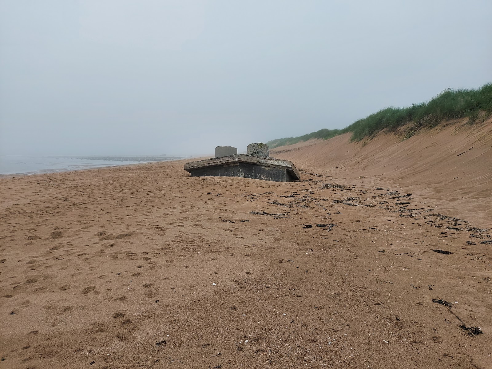 Blackdog Beach photo #9