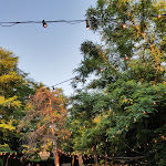 Photo n°36 de l'avis de chris.a fait le 08/03/2018 à 21:36 sur le  Casina Pontormo à Bertinoro