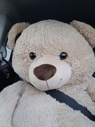 Thrift Store «Disabled American Veterans Thrift store», reviews and photos, 15265 Warwick Blvd, Newport News, VA 23608, USA