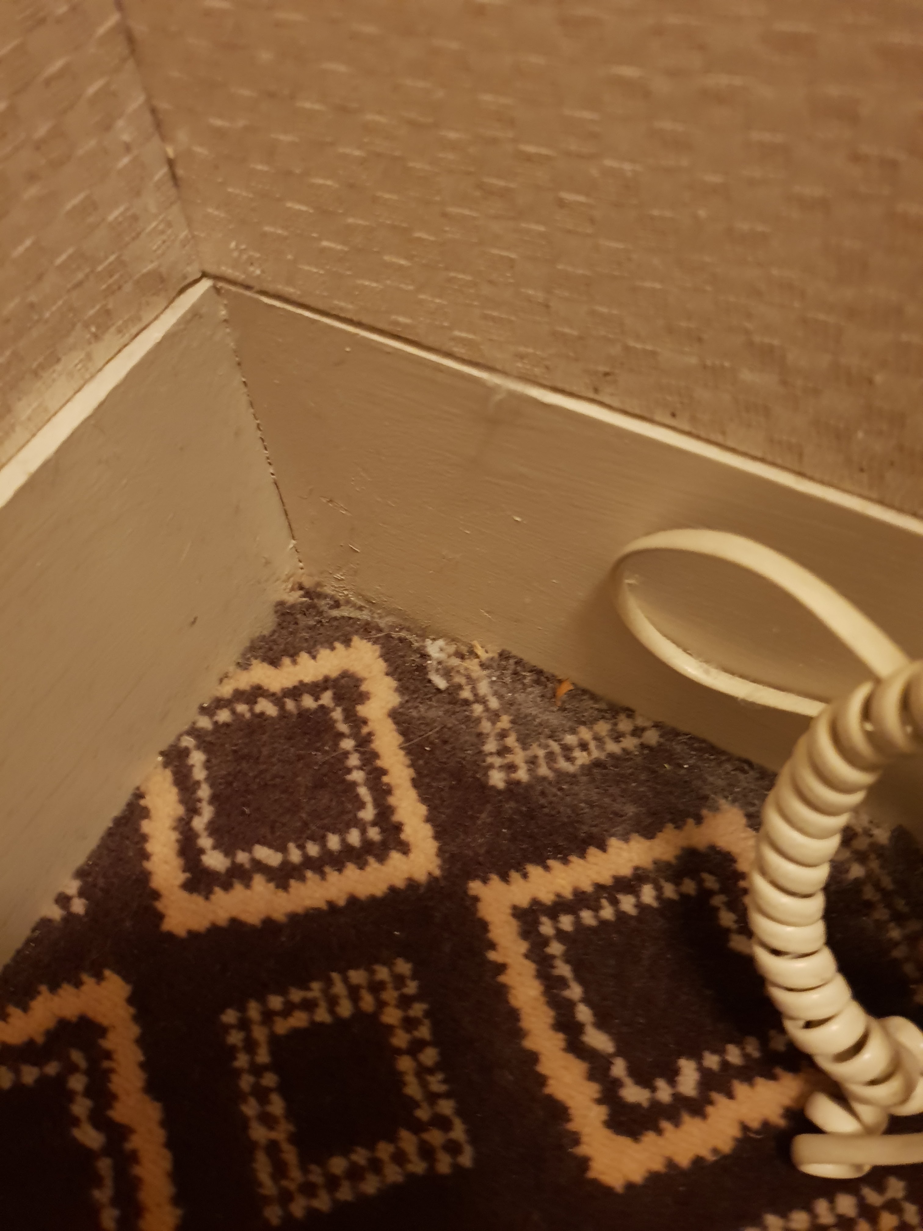 Photo n° 5 de l'avis de François.' fait le 24/06/2022 à 18:46