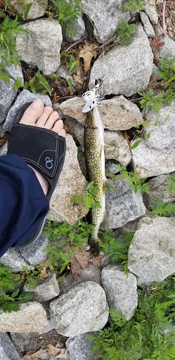 Playground «Varney Playground», reviews and photos, 45 Varney Ave, North Chelmsford, MA 01863, USA