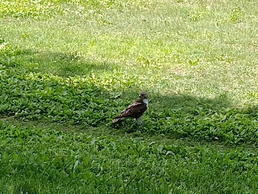 Park «Carney Park», reviews and photos, 386 W Main St, Northborough, MA 01532, USA