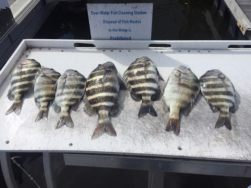 Boat Tour Agency «Good Time Charters», reviews and photos, 4765 Estero Blvd, Fort Myers Beach, FL 33931, USA