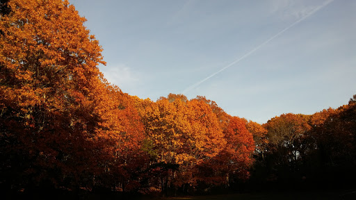 Park «Bare Cove Park», reviews and photos, Bare Cove Park Dr & Fort Hill St, Hingham, MA 02043, USA