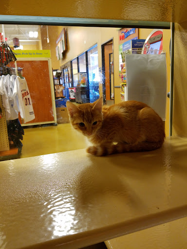 Pet Supply Store «PetSmart», reviews and photos, 5241 Monroe St, Toledo, OH 43623, USA