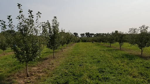 Winery «Apple Barn Orchard & Winery», reviews and photos, W6384 Sugar Creek Rd, Elkhorn, WI 53121, USA