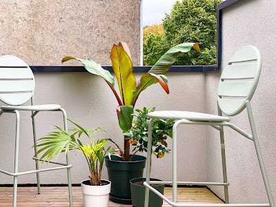 Agence Immobilière Novarea Pau à Pau