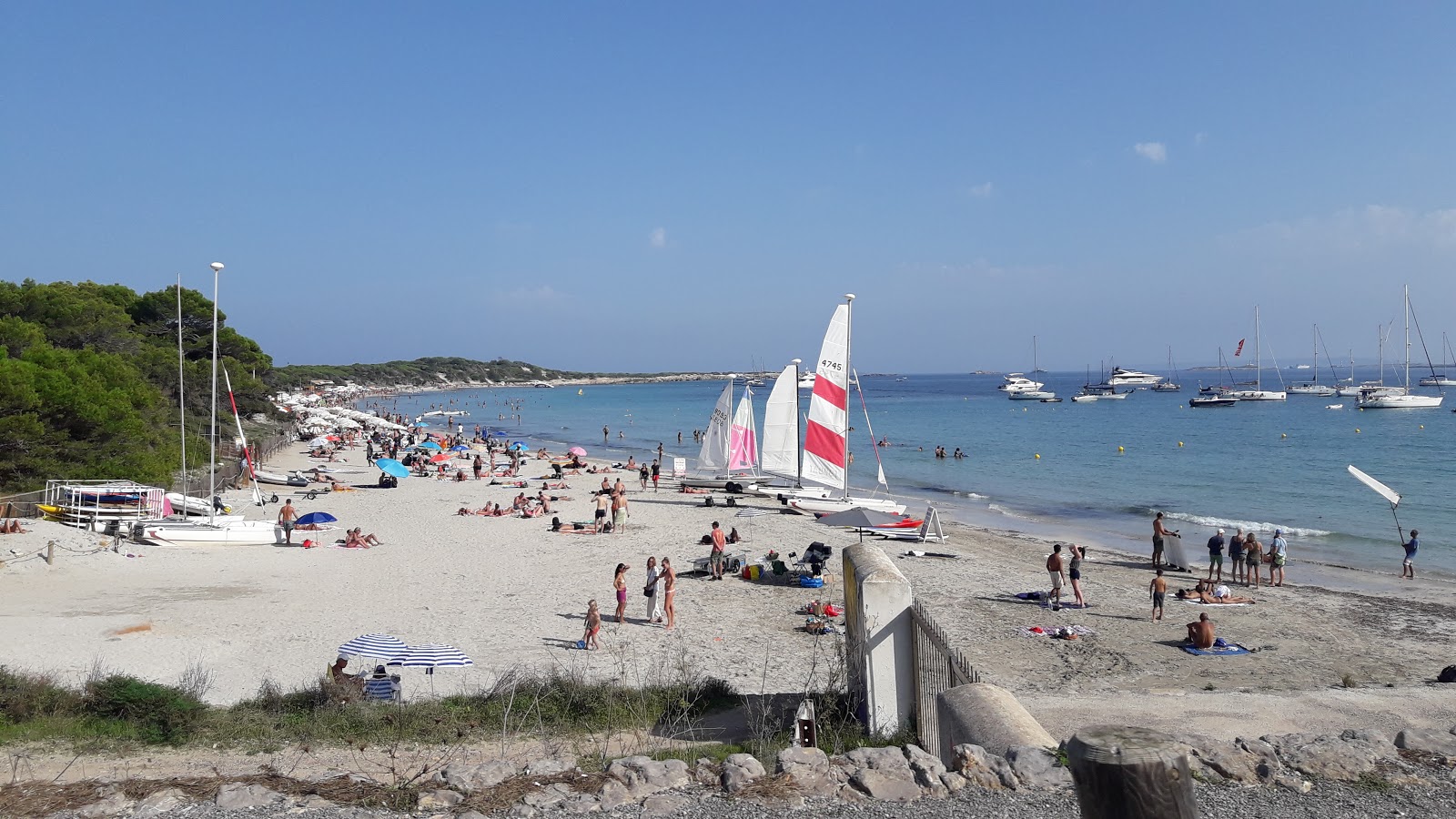 Foto de Platja de ses Salines con parcialmente limpio nivel de limpieza