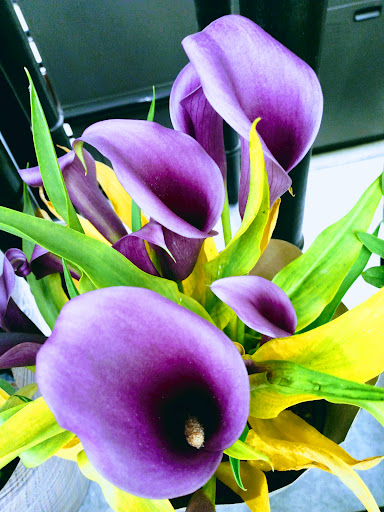 Grocery Store «H-E-B Grocery», reviews and photos, 2150 W Washington St, Stephenville, TX 76401, USA