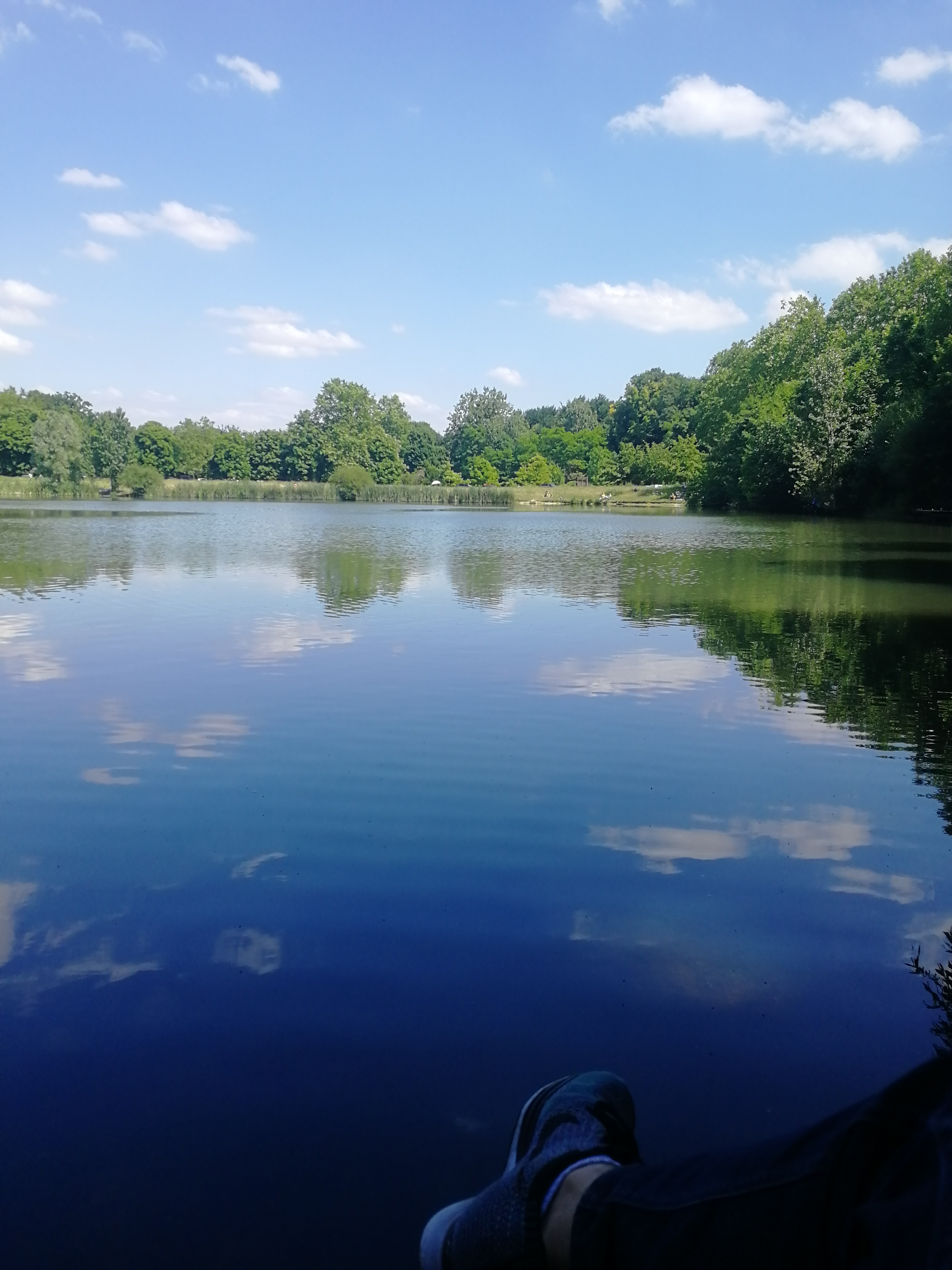 Photo n° 1 de l'avis de Tarek.y fait le 22/06/2019 à 13:46