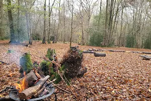 Danemead Scout Campsite image