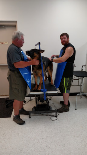 Pet Supply Store «Healthy Pet Center», reviews and photos, 775 New Loudon Rd, Latham, NY 12110, USA