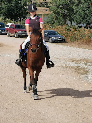 Photos des visiteurs hôtels LV Coulon 03240 Saint-Sornin