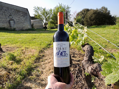 Chateau de Thau à Gauriac