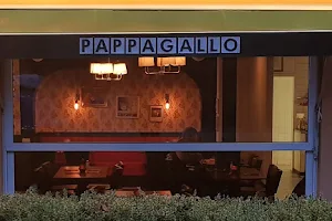 Pappagallo image