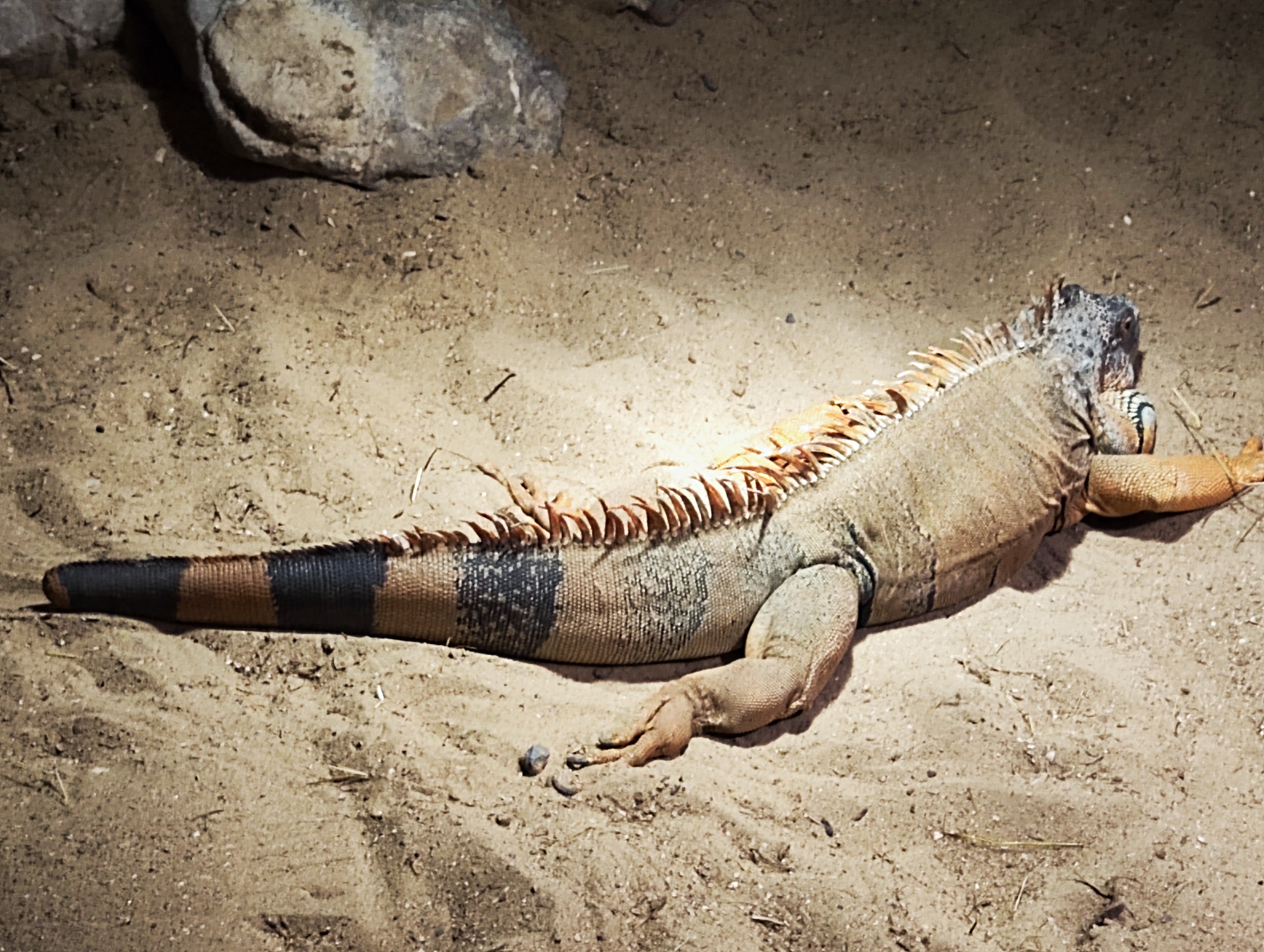 Photo n° 9 de l'avis de Aurelie.o fait le 03/08/2023 à 21:29