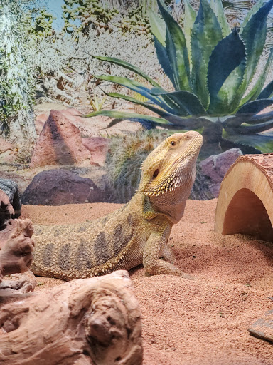 Pet Supply Store «PetSmart», reviews and photos, 700 Gallery Blvd b, Scarborough, ME 04074, USA