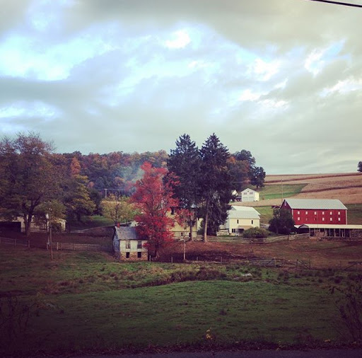 Apartment Building «Village Realty Apartments», reviews and photos, 410 Orchard Ct, Red Lion, PA 17356, USA