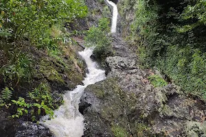 Wairere Falls image